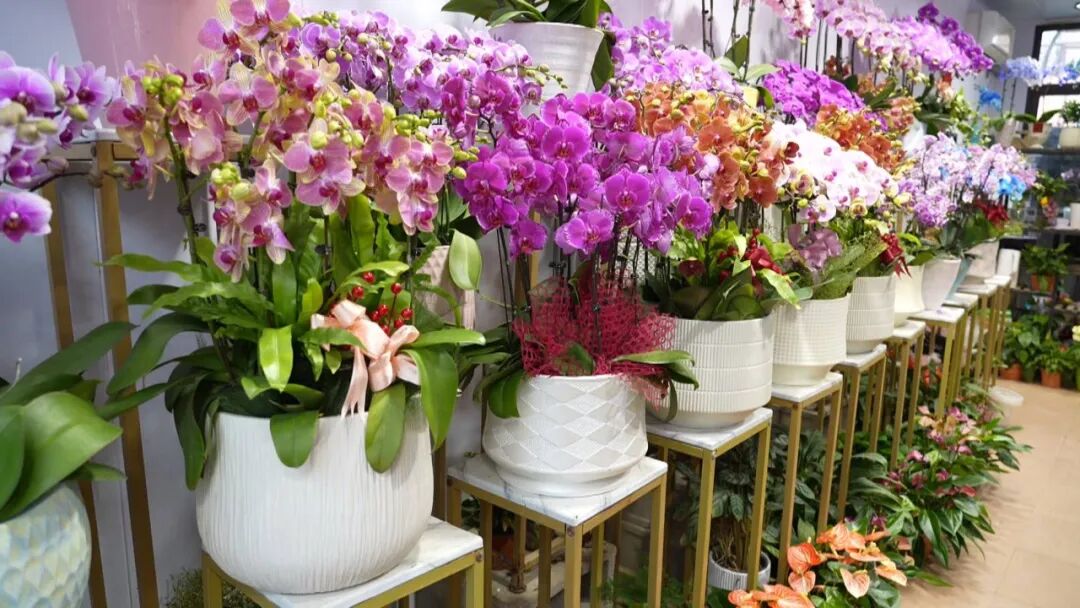 火了!一大波人将涌向南通这些地方!