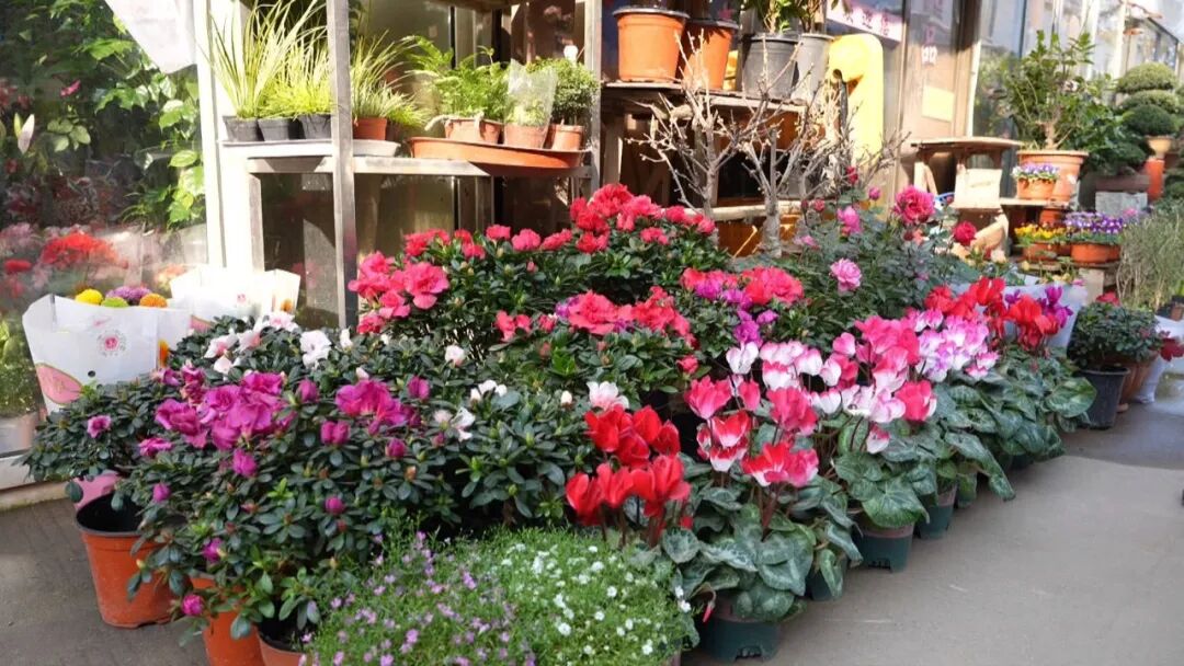 火了!一大波人将涌向南通这些地方!