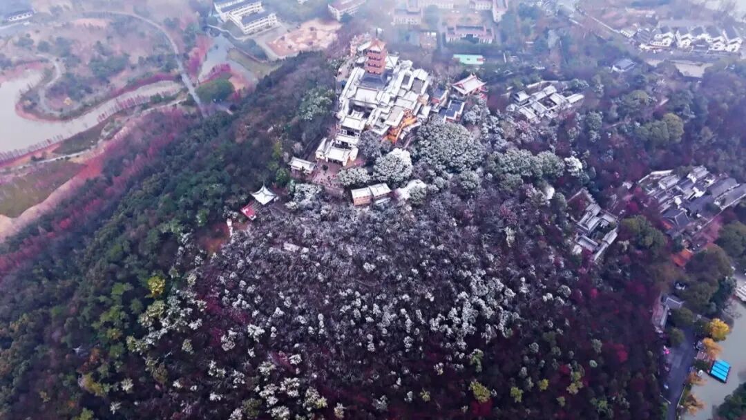 瑞雪迎新！南通“开门红”