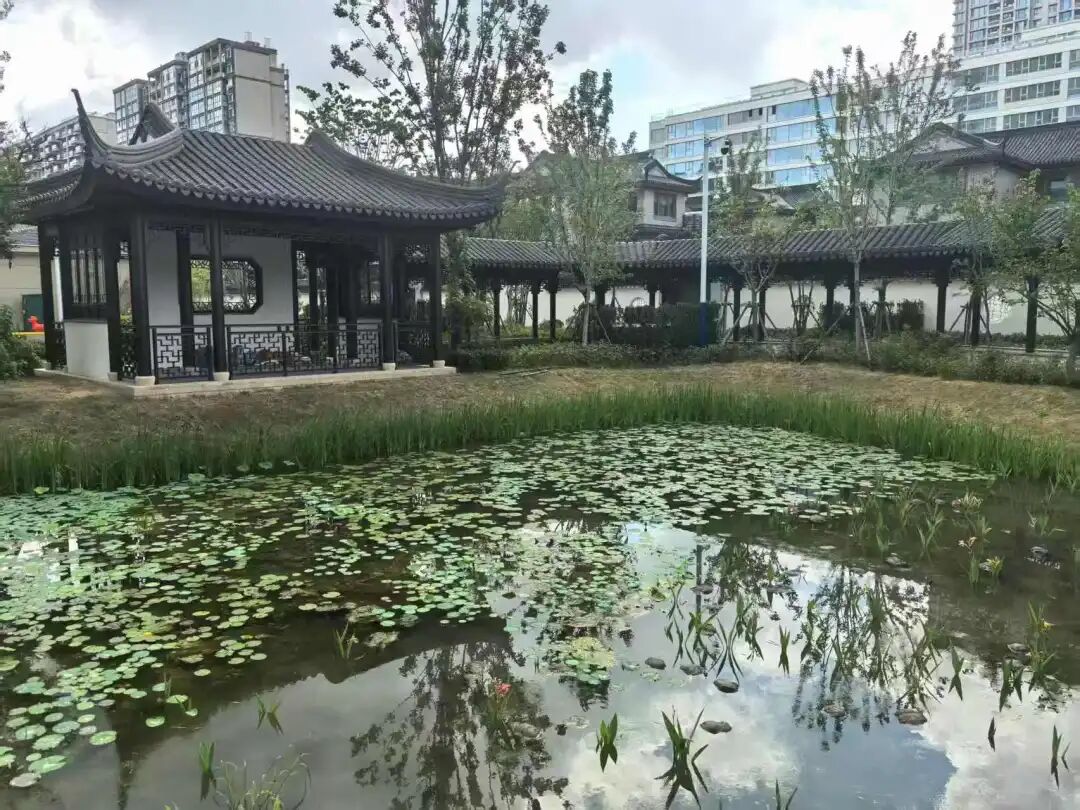 政务中心落户，城南价值跃升！海安金镶玉实景现房臻藏倒计时