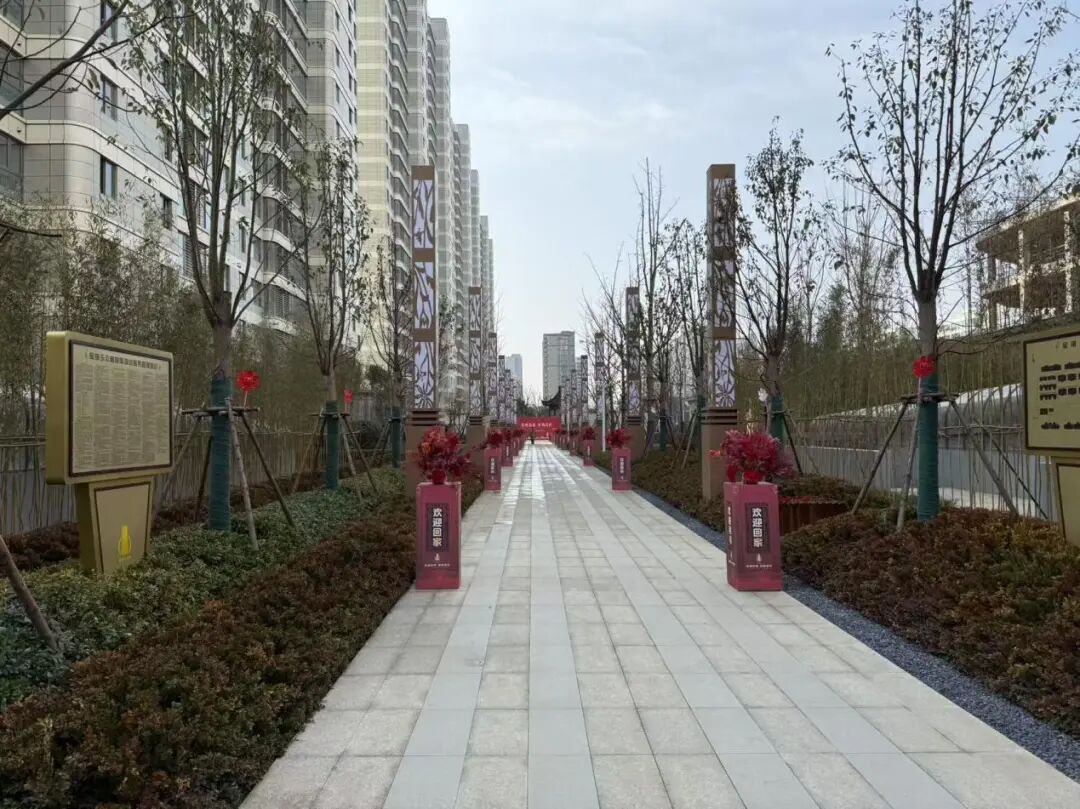 政务中心落户，城南价值跃升！海安金镶玉实景现房臻藏倒计时