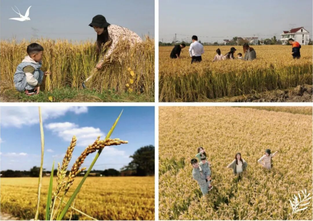 史诗级福利！南通首个房贷贴息盘炸场，立省45万！