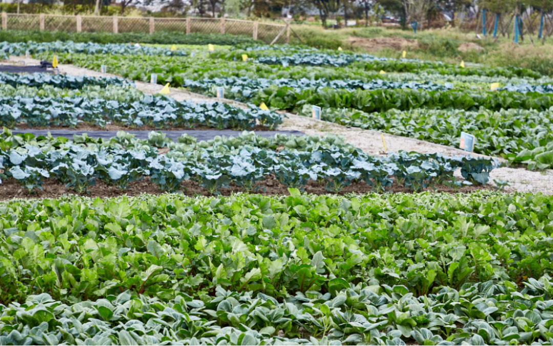 史诗级福利！南通首个房贷贴息盘炸场，立省45万！