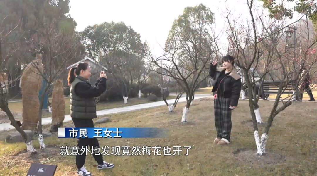 南通冬日“顶流”回归！