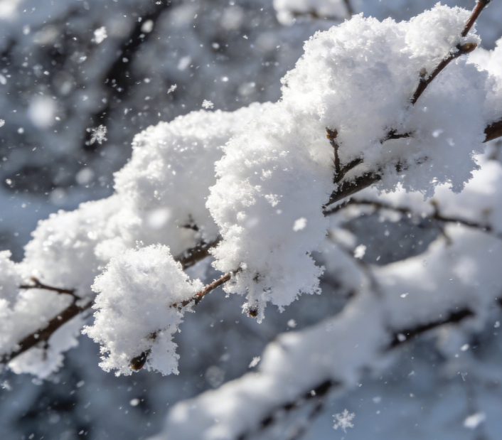 中到大雪，即将抵达南通！