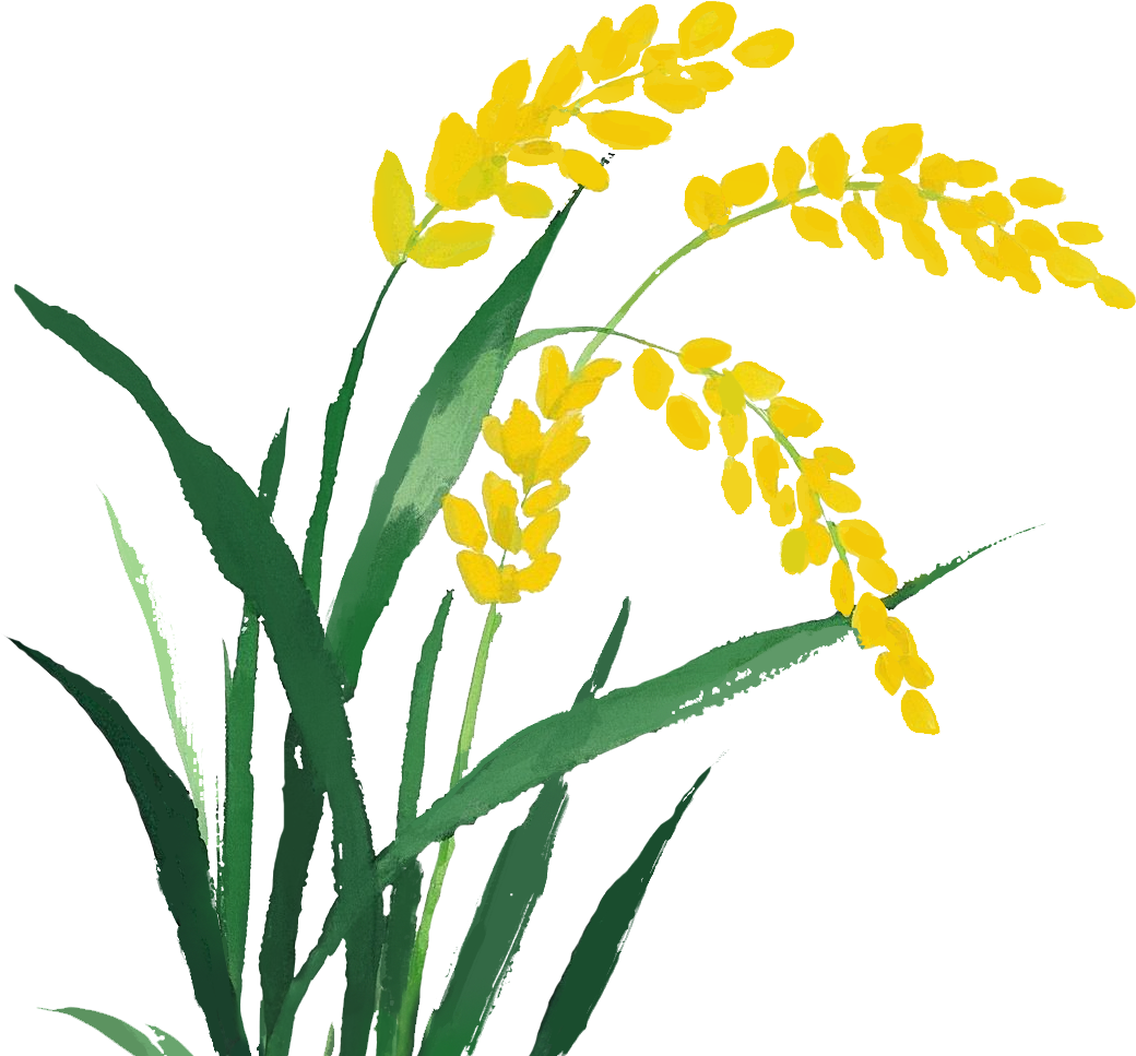 江苏肯帝亚男篮南通赛区怎么购票？附入口！