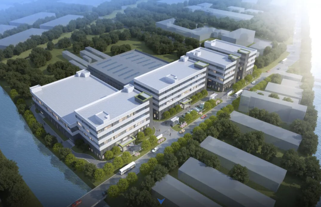 南通黑马，强势崛起！