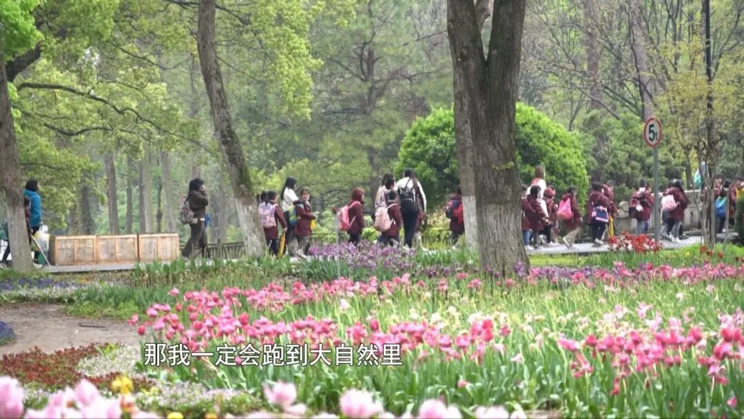 南通中小学生“春秋假”，有望今年落地