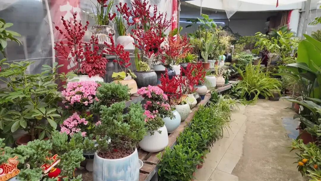 供销大集即将启幕，这份囤货指南请收好→