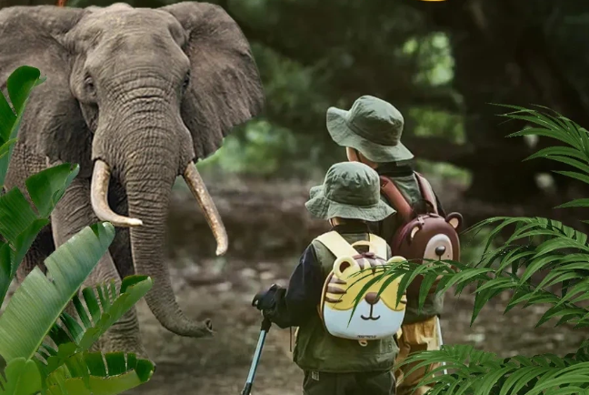 雨林徒步、喂大象...带娃来西双版纳探险啦~