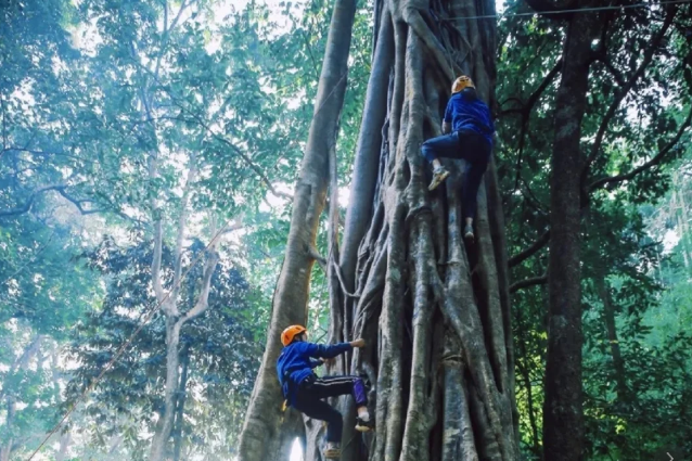 雨林徒步、喂大象...带娃来西双版纳探险啦~