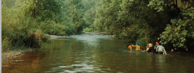 雨林徒步、喂大象...带娃来西双版纳探险啦~