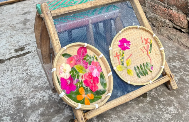 雨林徒步、喂大象...带娃来西双版纳探险啦~