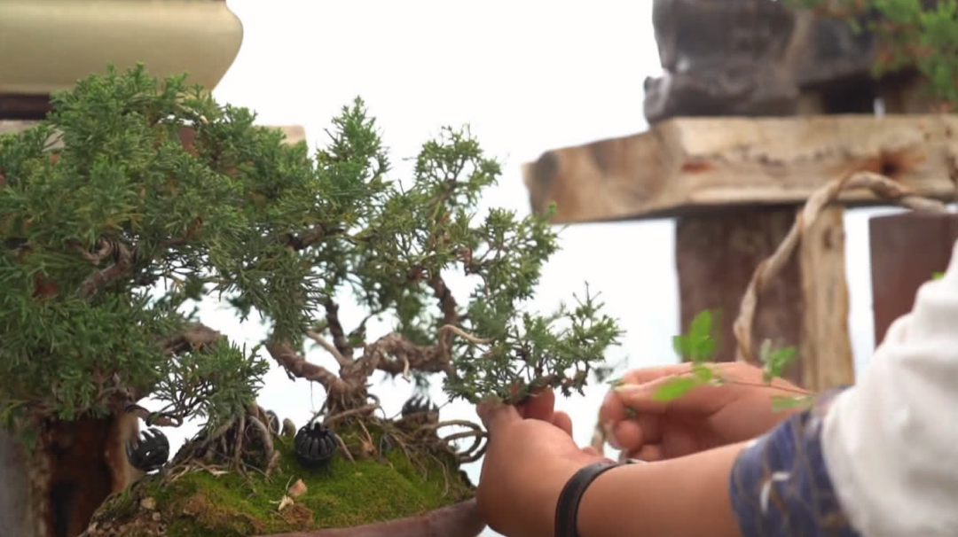 喜报！南通4家个体工商户获评全国先进