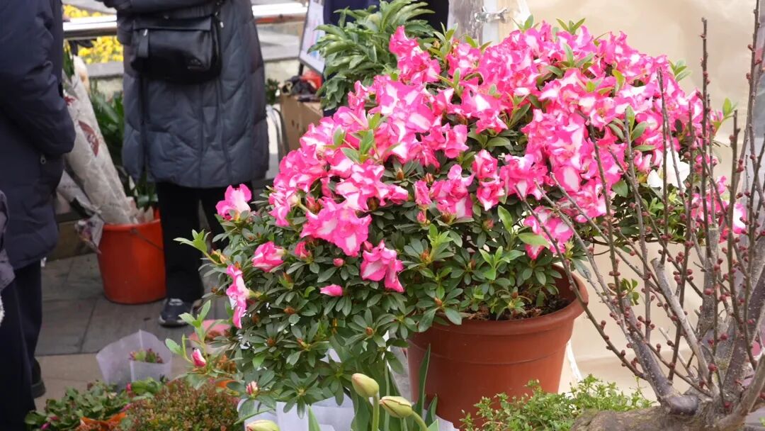 红火开市！南通这里，真热闹啊！