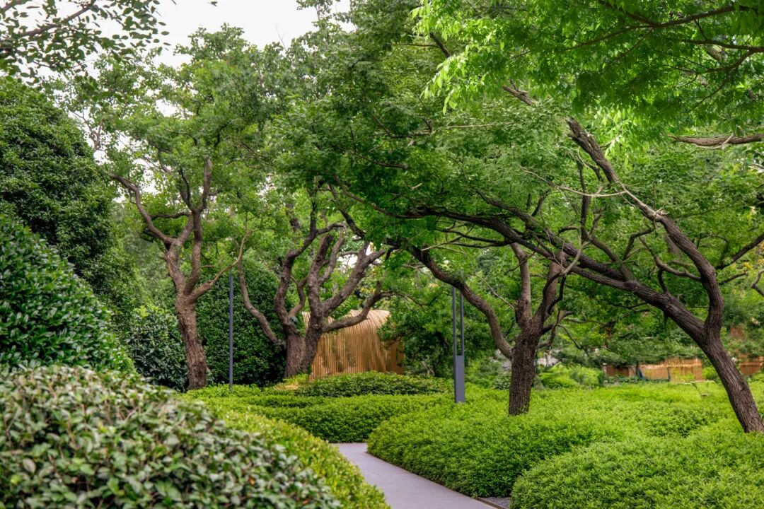 2年半卖出近750套!为何只有TA能够持续逆市热销