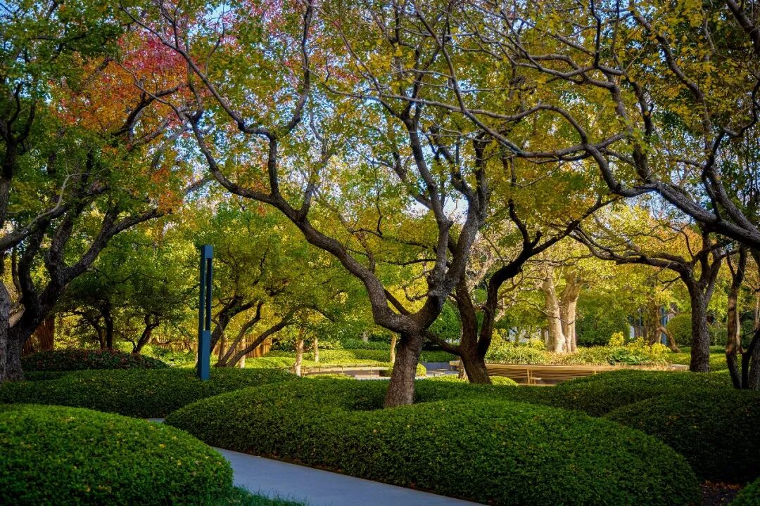 2年半卖出近750套!为何只有TA能够持续逆市热销