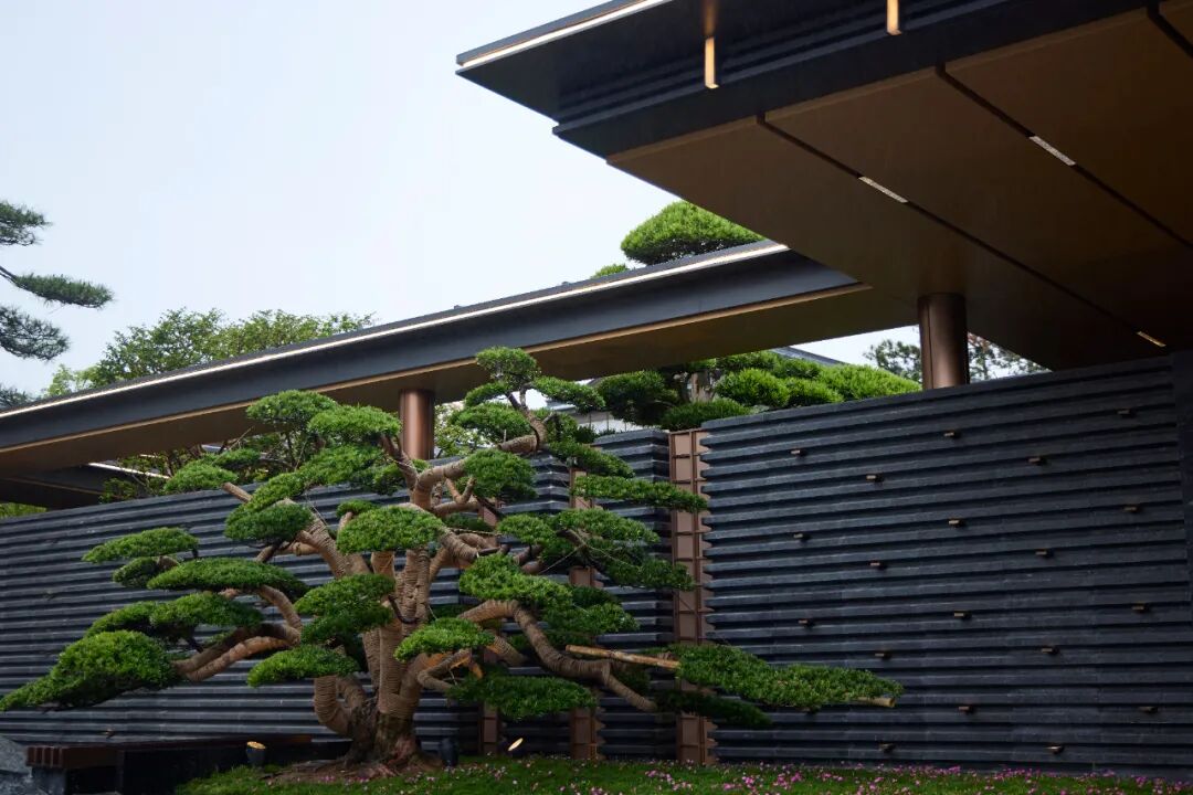 四面环水，公园岛居！南通的豪宅水准，又拉高了一个level