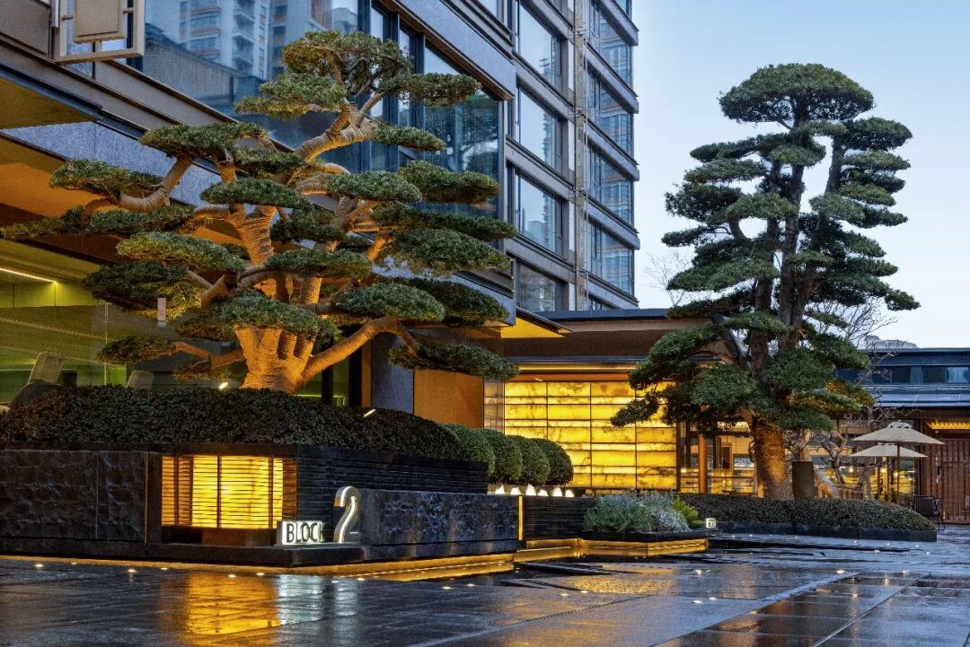 四面环水，公园岛居！南通的豪宅水准，又拉高了一个level