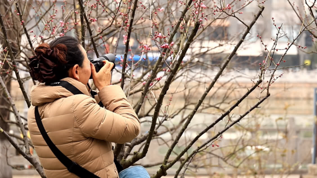 罕见同框！最近不少南通人拍到浪漫一幕