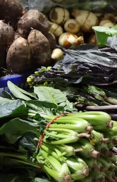 集中上市！南通人爱的这口“鲜”