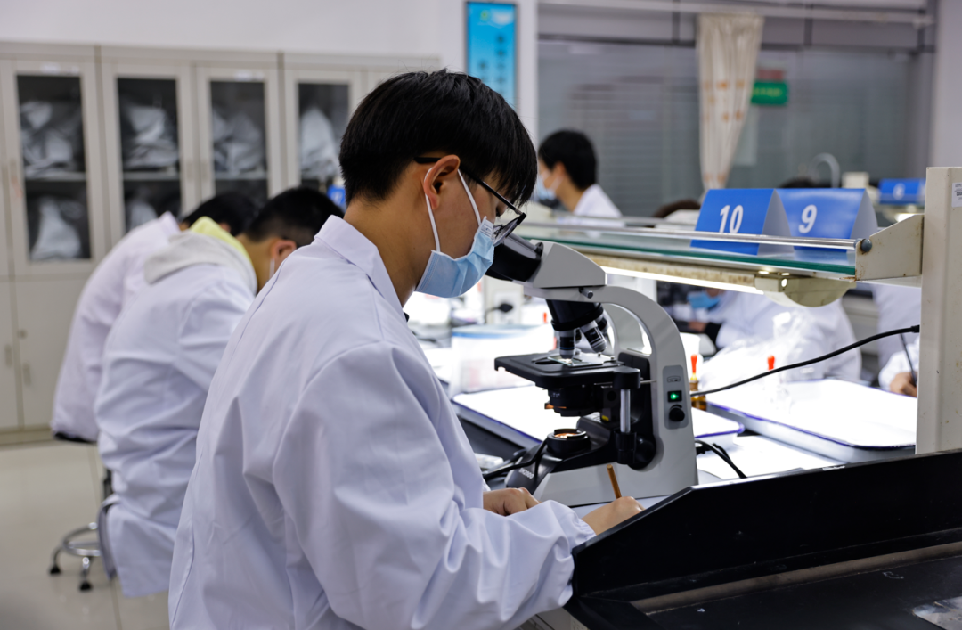 职教高考 | 江苏省中职职教高考系列宣传（八）：农业科目组