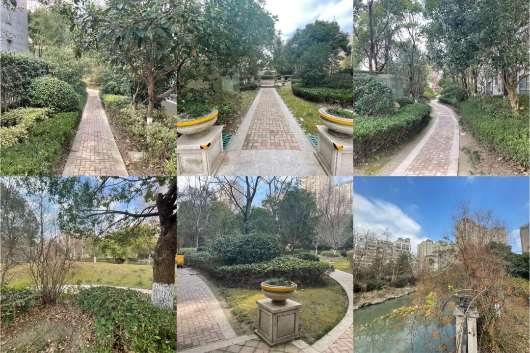 带资80万入场，南通小区再换新物业！