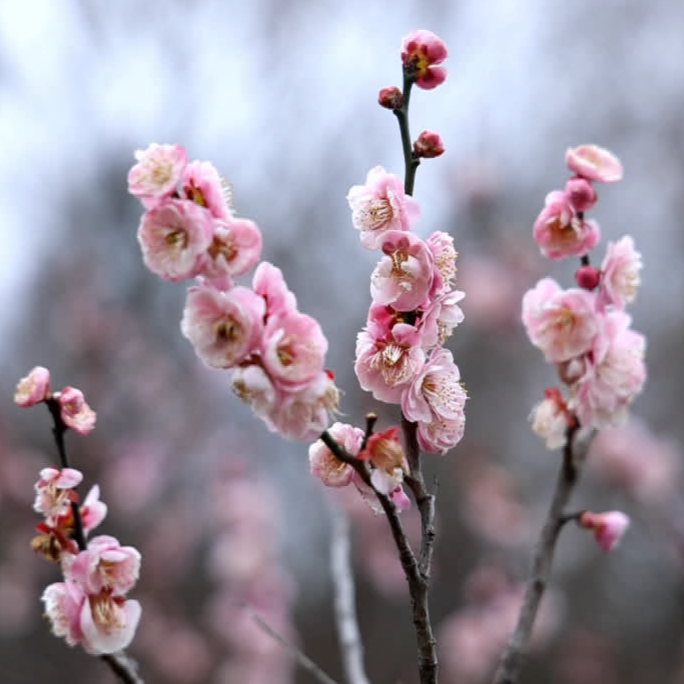 太出片了！南通“顶流”上线！