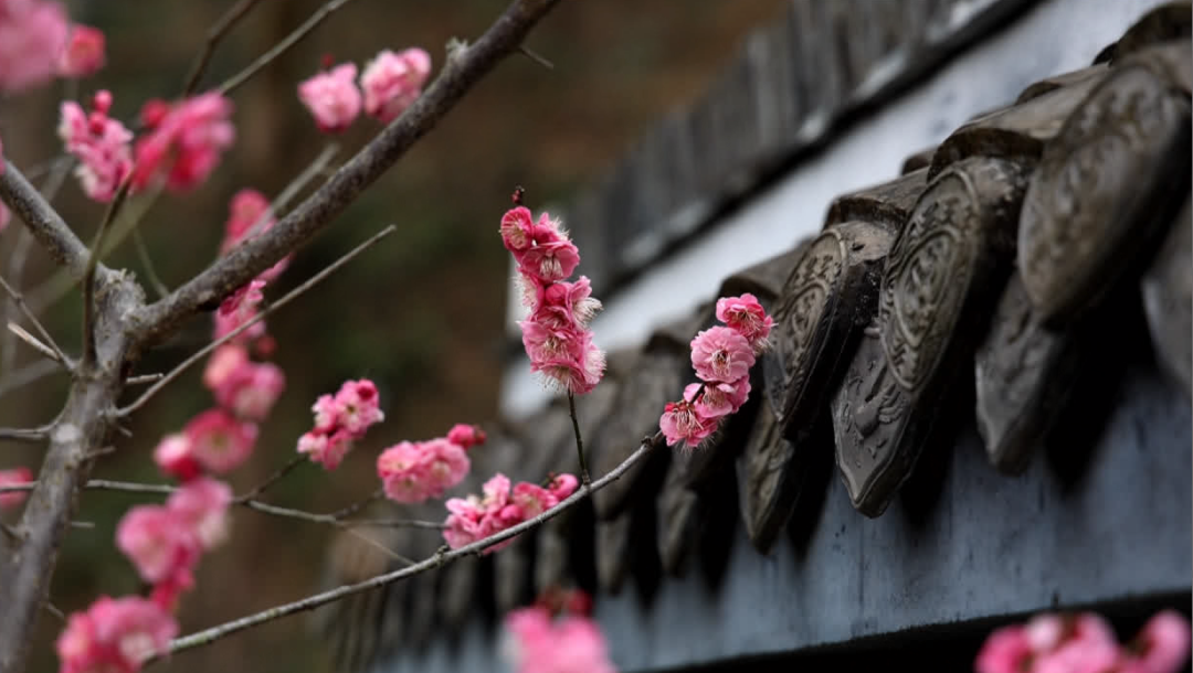 太出片了！南通“顶流”上线！