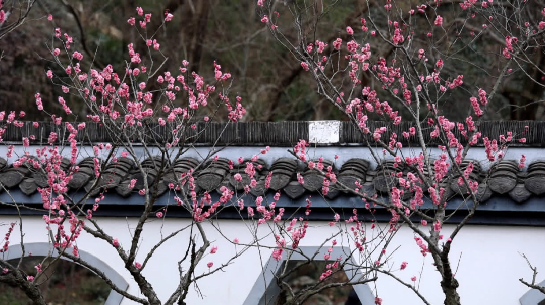 太出片了！南通“顶流”上线！
