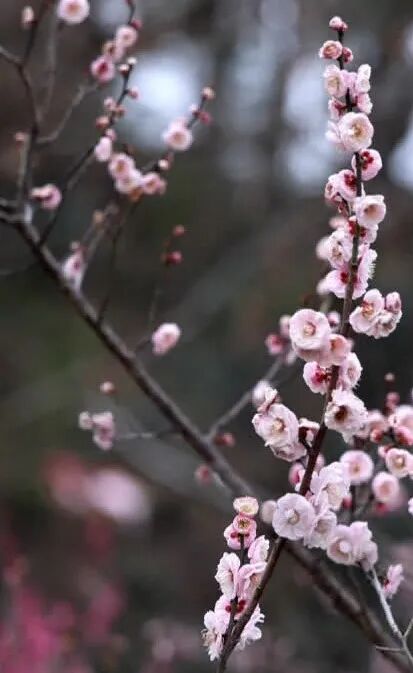 太出片了！南通“顶流”上线！