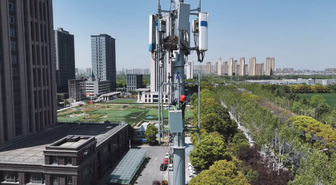 微观察 丨 6G时代要来了？！