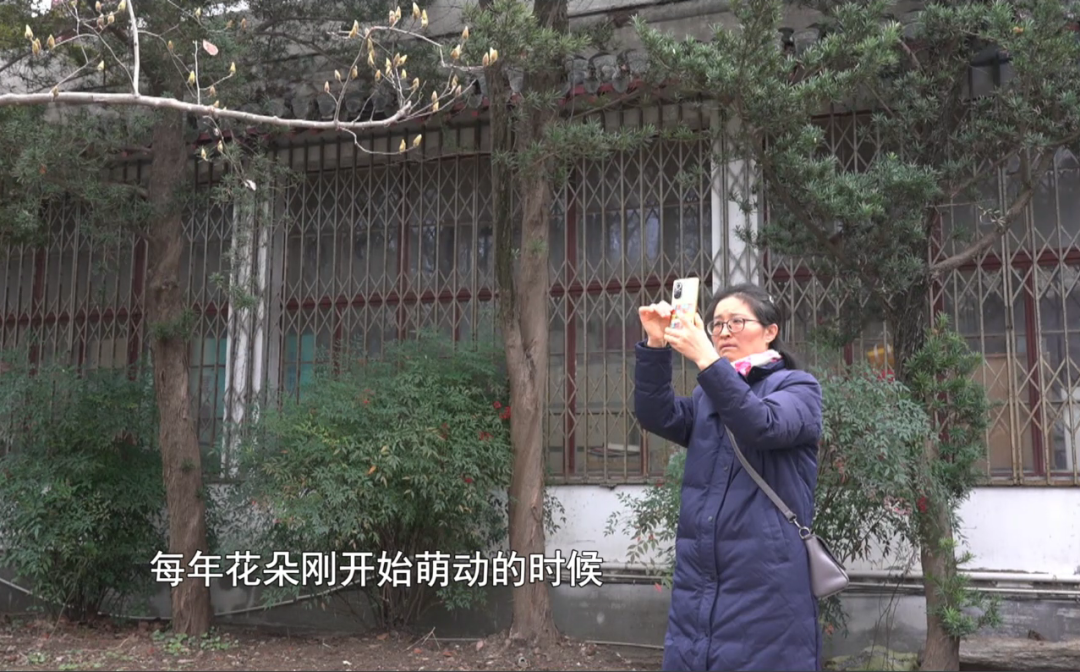 新晋“顶流”，太仙了~