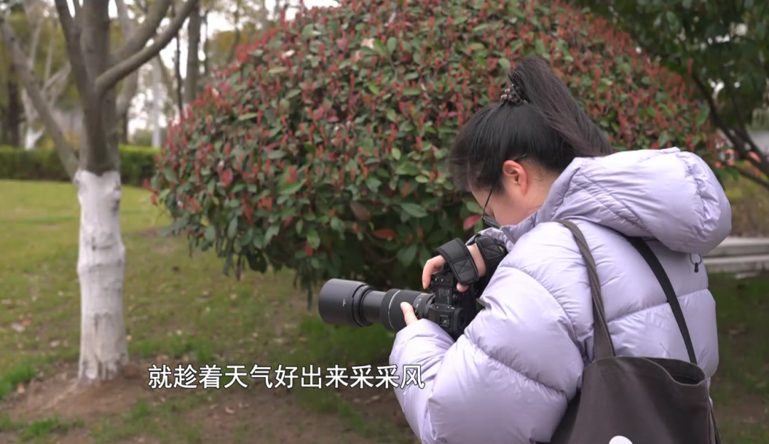 新晋“顶流”，太仙了~