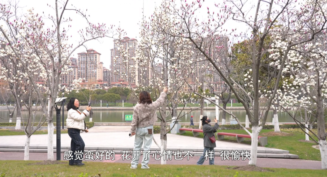 新晋“顶流”，太仙了~