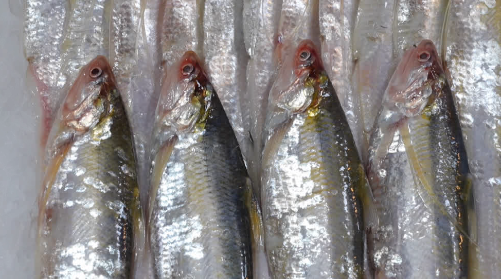 南通人爱吃的这一口，抢“鲜”上市！