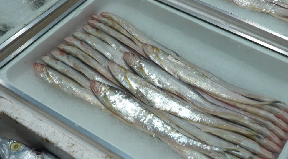 南通人爱吃的这一口，抢“鲜”上市！