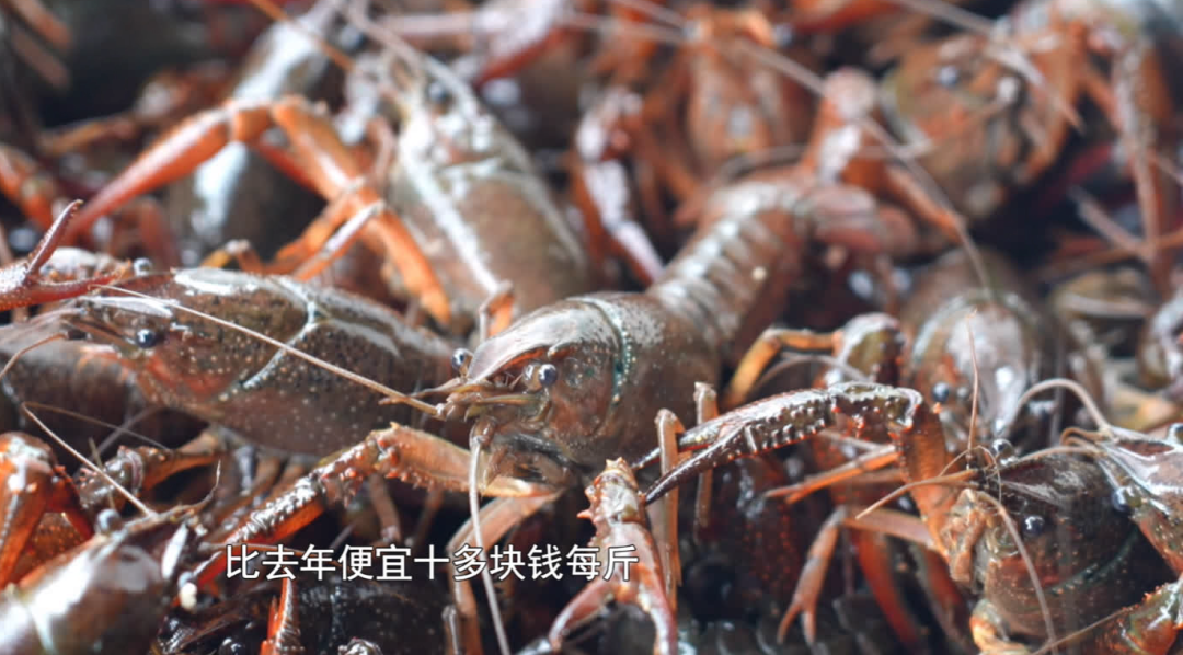 南通人爱吃的这一口，抢“鲜”上市！