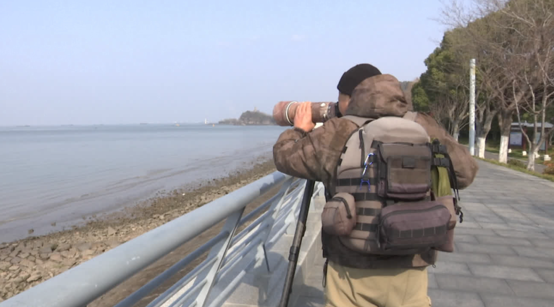 南通不少人拍到啦！进入活跃期