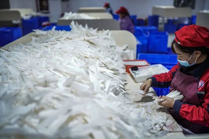 突然集体降价！多品牌官宣