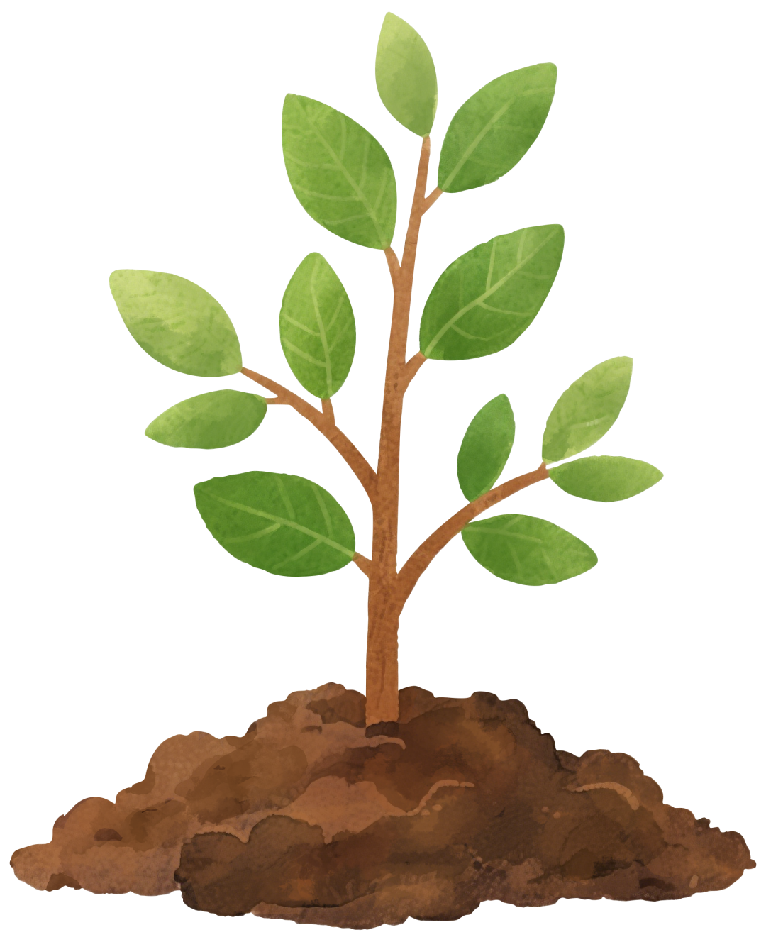 南通濠河夜画出行指南！班次安排！