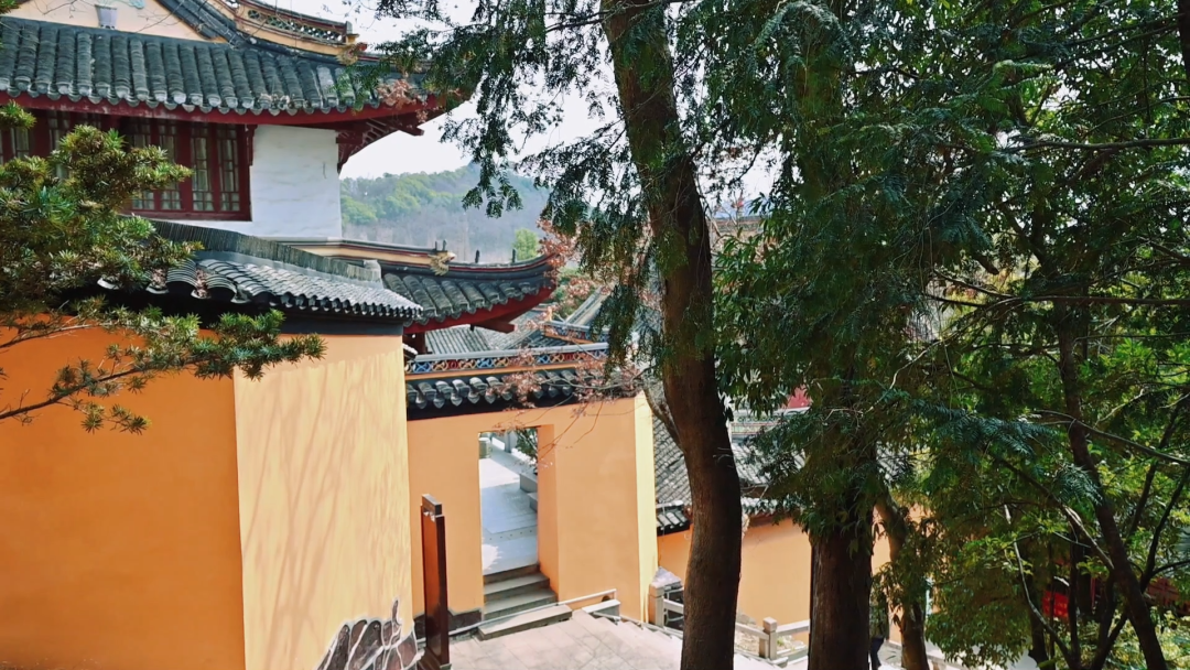 狼山！你变了！