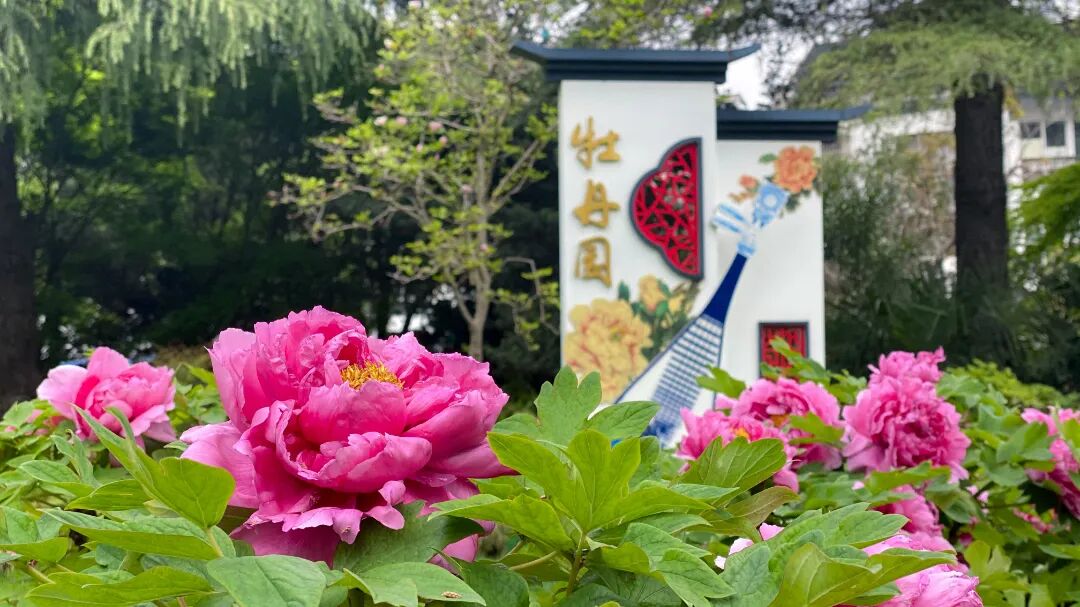 免票！南通多景区推出春假优惠