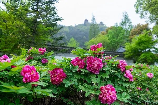 免票！南通多景区推出春假优惠